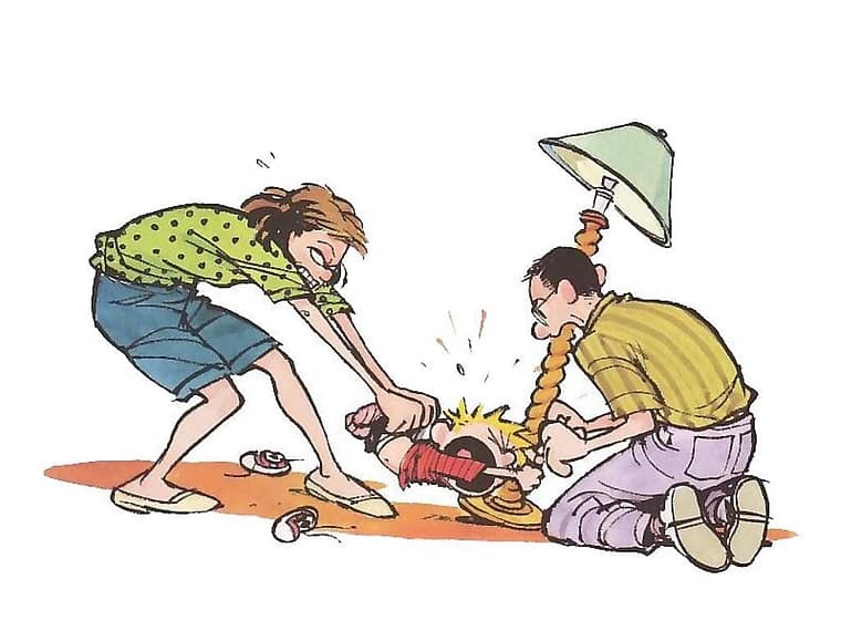 Calvin and Hobbes, credit: Bill Watterson. (wikia)